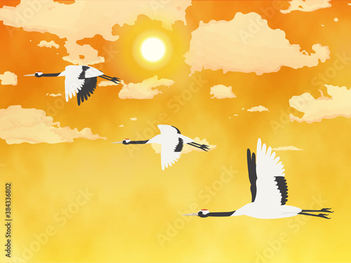 鶴　タンチョウ　飛ぶ　夕日の風景