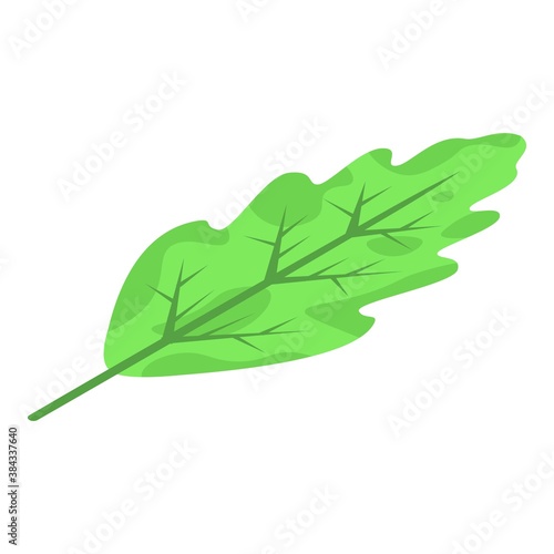 Oak leaf icon. Isometric of oak leaf vector icon for web design isolated on white background