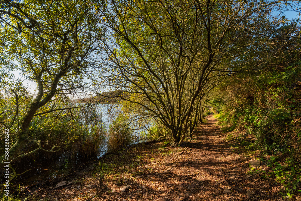 Naklejka premium Lakeside Walk