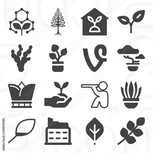 16 pack of stems  filled web icons set