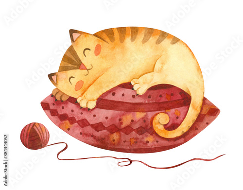 Adorable kitten sleeping on pillow. Cute kitten character.  Winter postcard. Mascot of goods for pets. Watercolor hand drawn illustration.