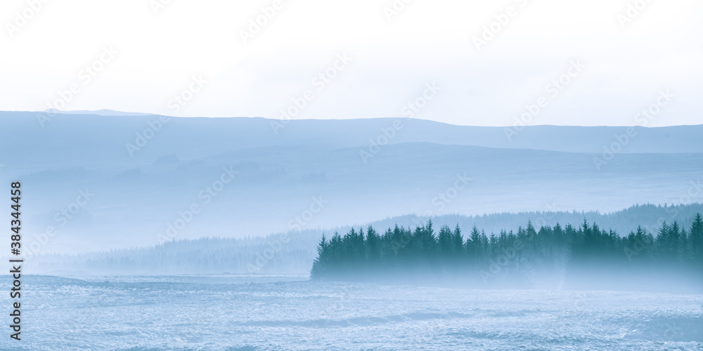 Misty forest - thick mist over pine forest in Scotland