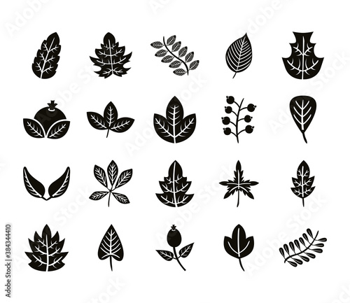 bundle of twenty autumn leaves silhouette style icons