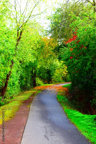ländlicher Radweg im Herbst photo