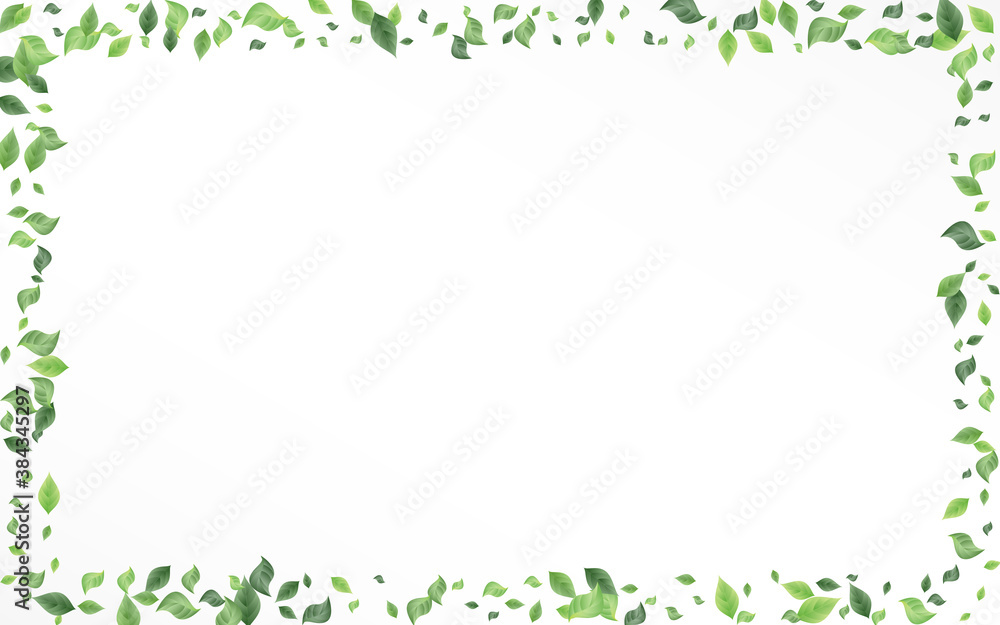 Mint Greenery Herbal Vector White Background 