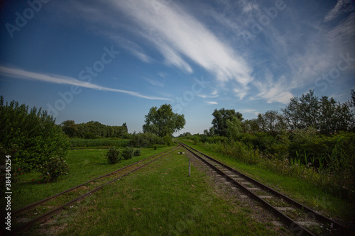 Fototapeta Naklejka Na Ścianę i Meble -  railway in the forest