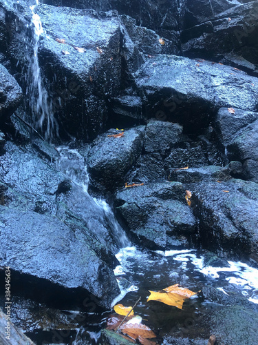 Small woodland waterfall close up of water spilling over a black rock dotted with orange leaves. Full frame inage in natural light with copy space. photo