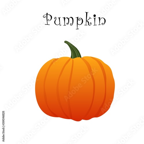 Small pumpkin on a white background with the inscription. Vector illustration. Halloween Pumpkin.