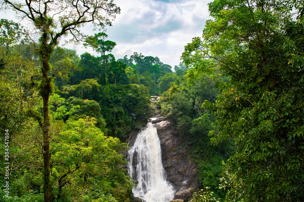 Scenic Views of Hill Station in Kerala Scenic Views of Hill Station in Kerala