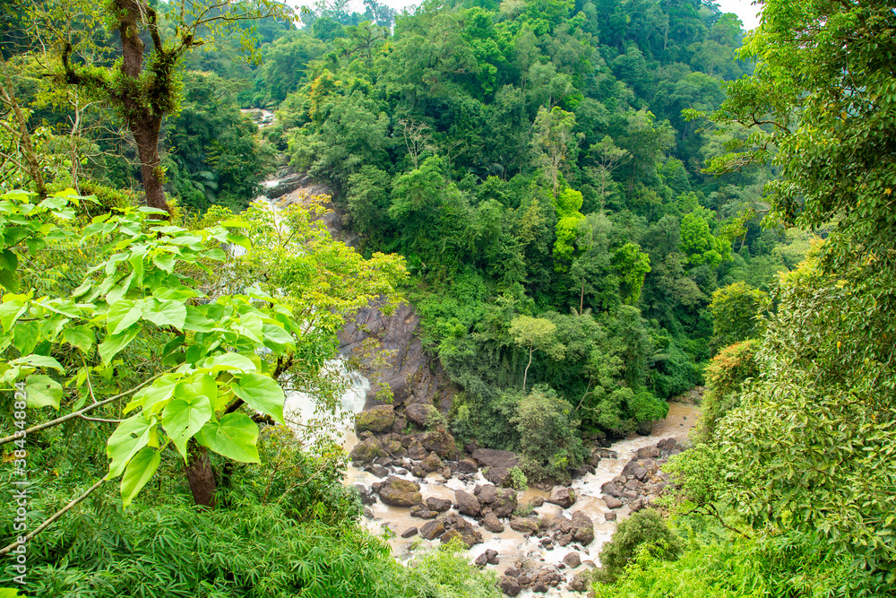 Obraz premium Scenic Views of Hill Station in Kerala