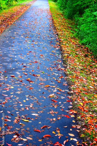ländlicher Radweg im Herbst photo