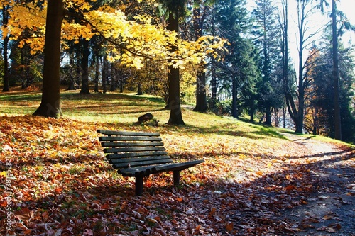 Autumn in the spa park Priessnitz in Jeseniky in Moravia in the Czech Republic.
