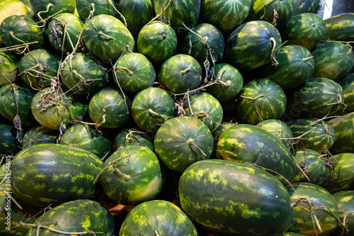 Fresh harverst of watermelons on a stall photo