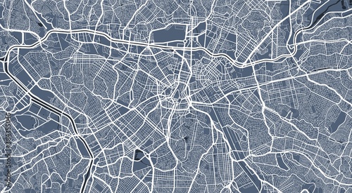 Detailed map of Sao Paulo city, linear print map. Cityscape panorama.