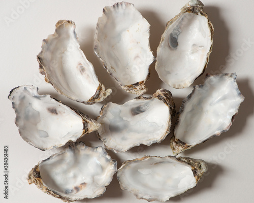 Foto Empty oyster shells on white background