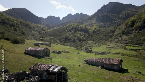 Close Up Aerial Cow Livestock Valley in Trekking Route. Green Grass and Healthy Environment. Asturias, Spain.