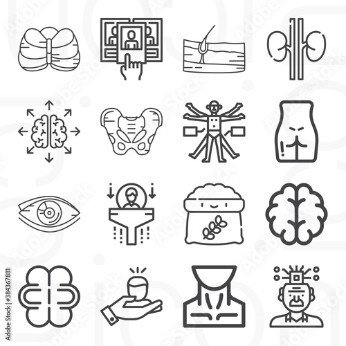 16 pack of abuses  lineal web icons set