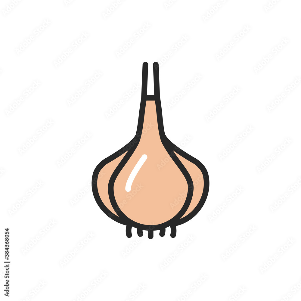 Garlic color line icon. Spice for cooking. Vector illustration