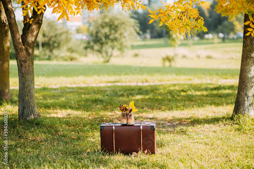 Old brown boots with leaves inside. Boots and brown vintage suitcase in autumn forest. Path with yellow leaves. Leather suitcase under the tree. Autumn nature, yellow and red foliage.