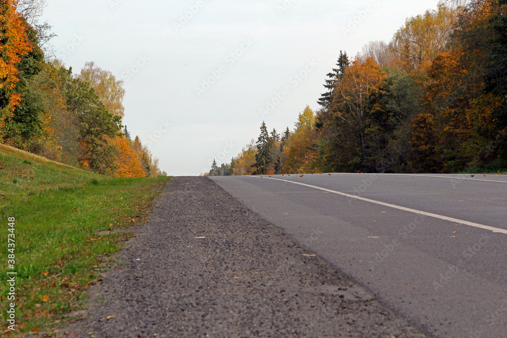 Fototapeta premium Осень