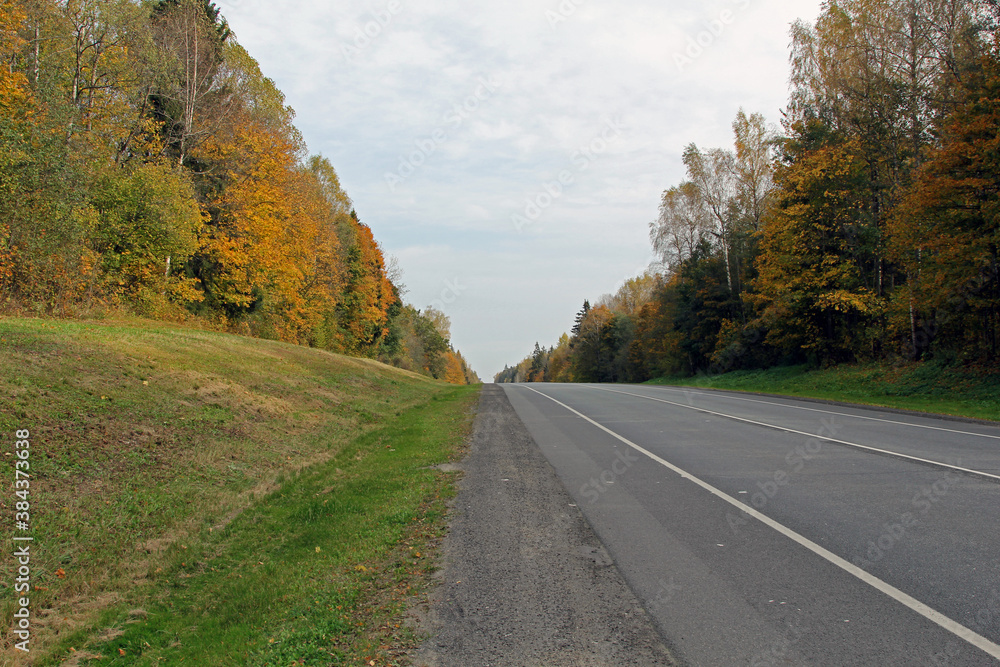 Fototapeta premium Осень