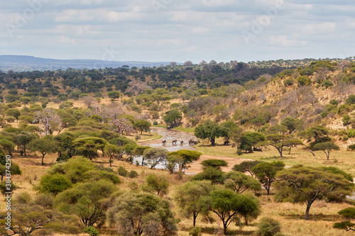 The landscape of Tarangire National Park, Tanzania