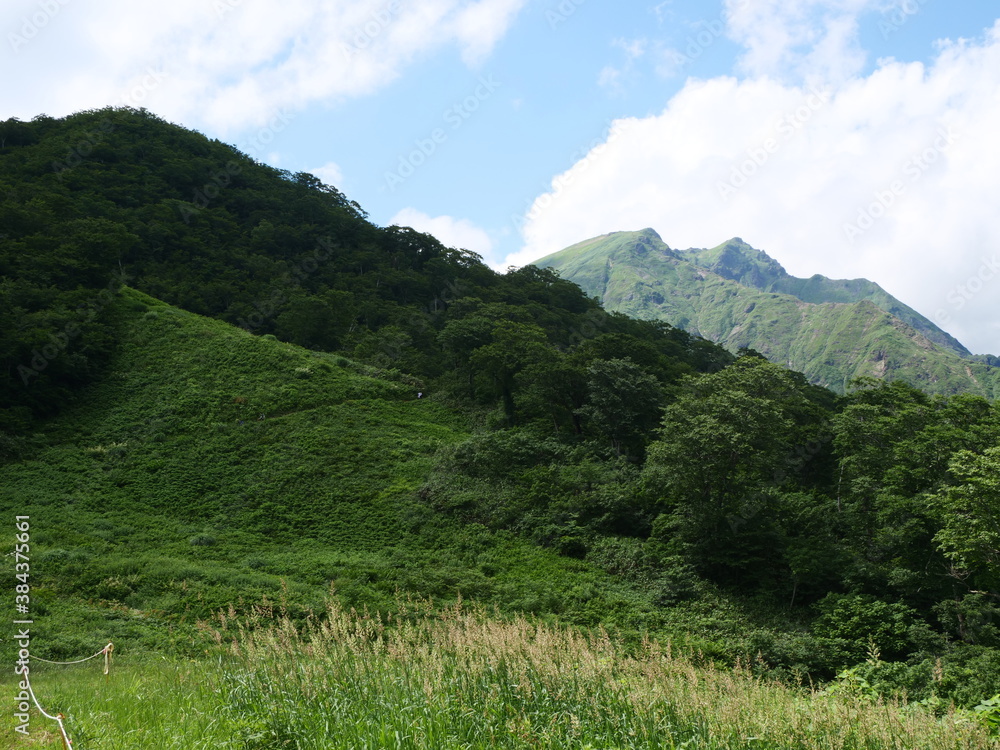 谷川岳の天神尾根の登山道