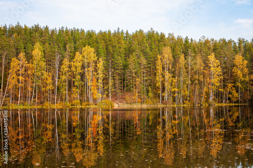 Autumn landscape. Russia. Karelian Isthmus.