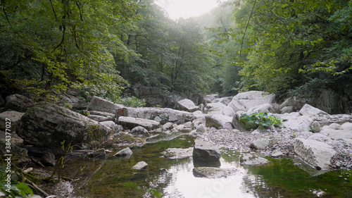 A picturesque mountain river among the rocks. The river flows fast among stones and plants and creates foam. The rapid flow of river in the forest. Picturesque landscape.