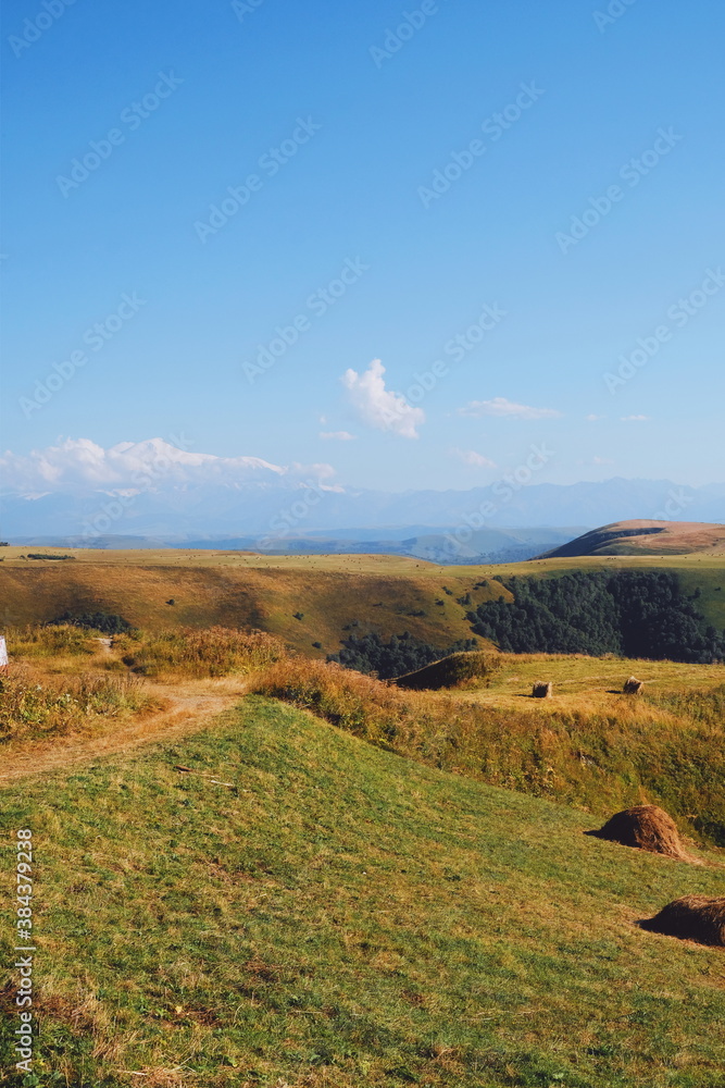 Naklejka premium stone and grassy landscape. mountains