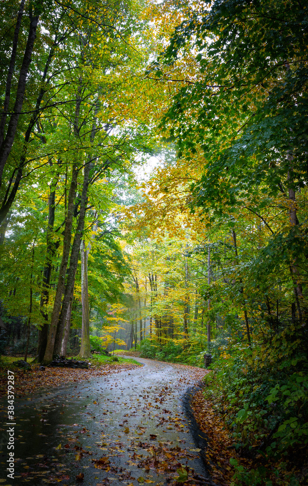 Early fall road with fallen leaves in Maggie Valley, North Carolina, USA