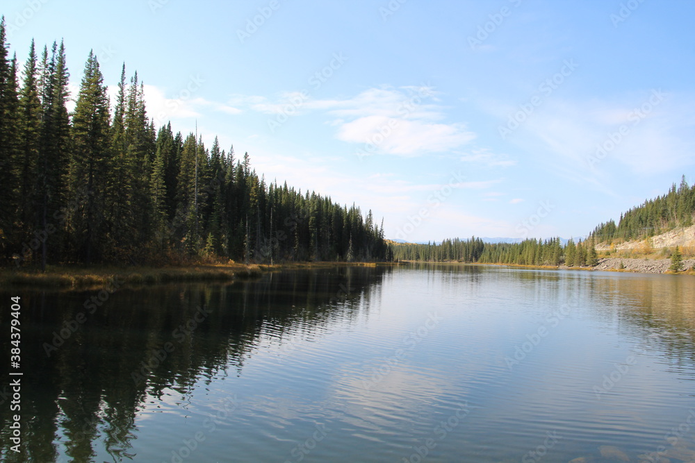 Calm On The Beaver Pond, Nordegg, Alberta Calm On The Beaver Pond, Nordegg, Alberta