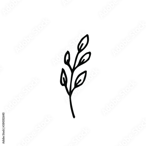 single hand drawn single twig doodle style. Doodle  illustration for wedding design, logo and greeting card. Traditional hand drawn spring flowers in ink style.