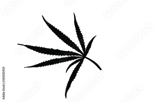 Marijuana leaf silhouette on green isolated background. Cannabis legalization. Vector illustration
