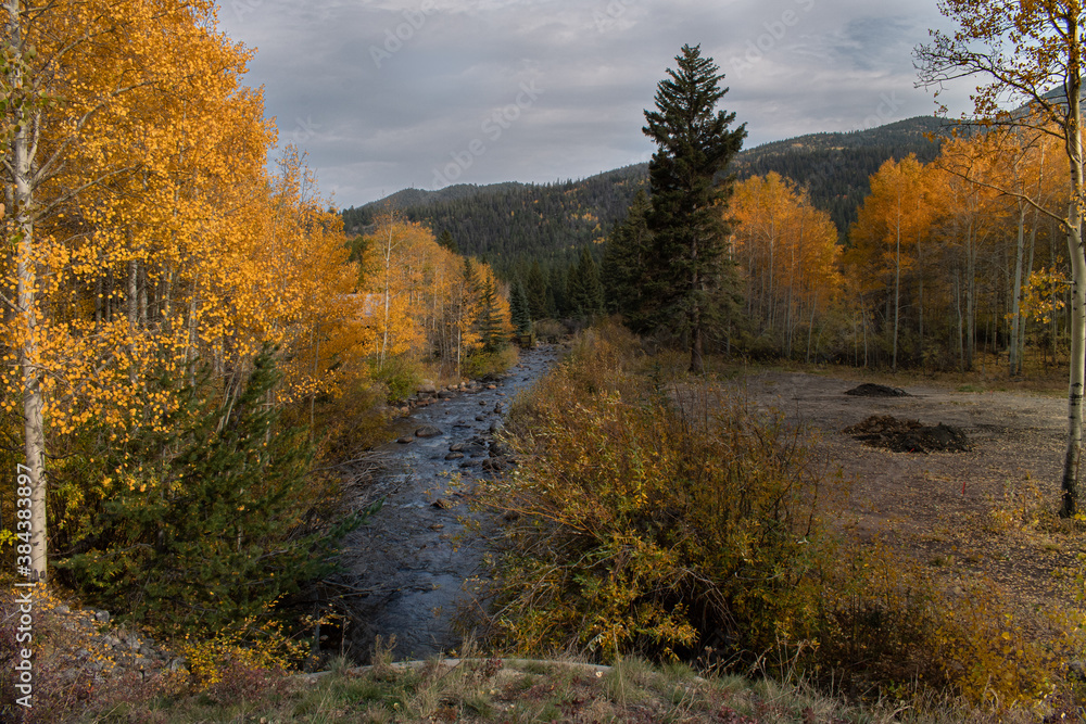 Cottonwood Middle Creek in fall