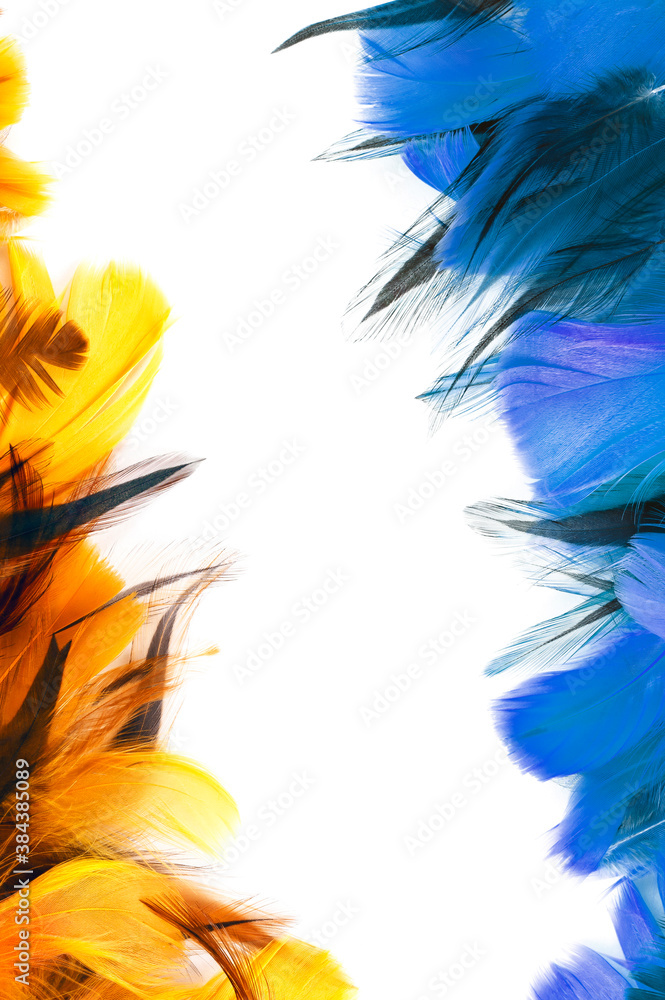 Obraz premium Feathers on white background. Vertical photo.