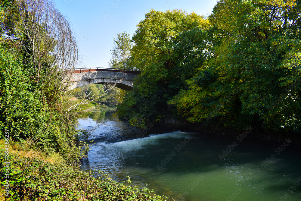 Fototapeta premium river with vegetation reflections in autumn day