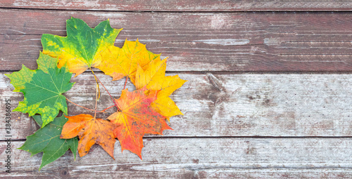 Fotografie colorful autumn leaves on the old wooden background