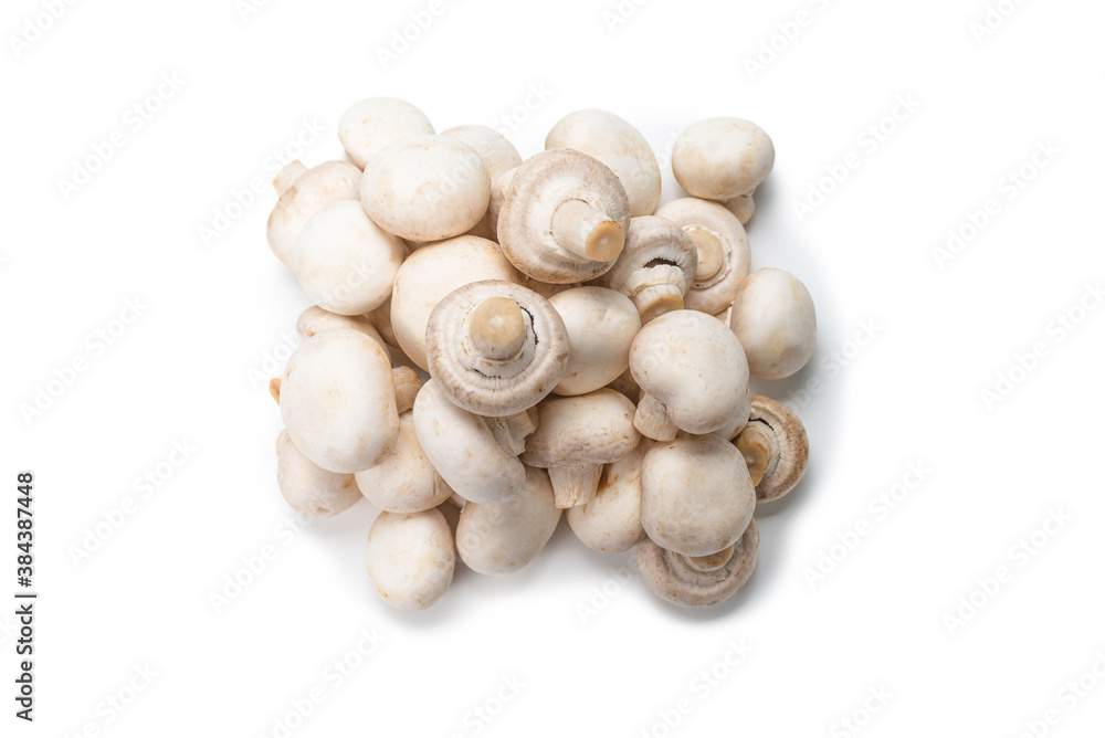 Champignon mushroom isolated on white background. Champignon mushroom isolated on white background.