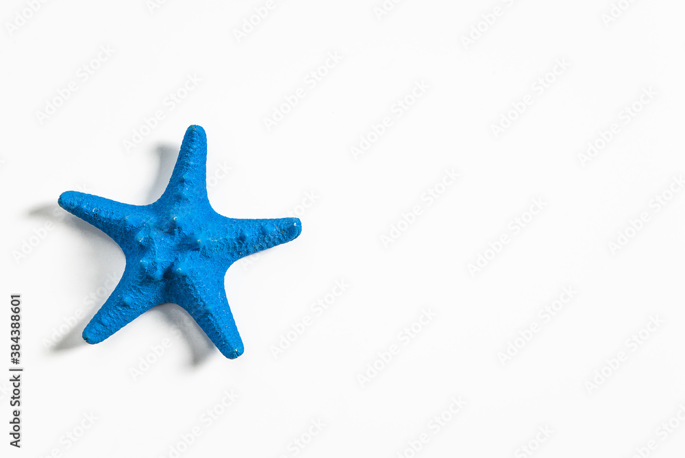 Blue starfish isolated on white background. Top view, copy space Blue starfish isolated on white background. Top view, copy space