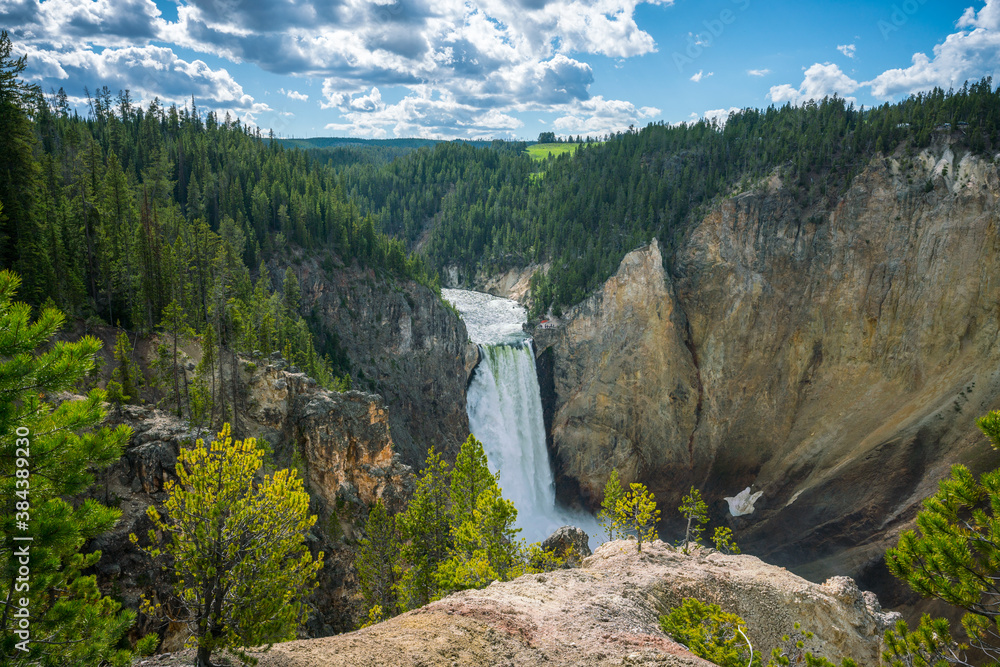 lower falls of the yellowstone national park in the grand canyon, wyoming, usa