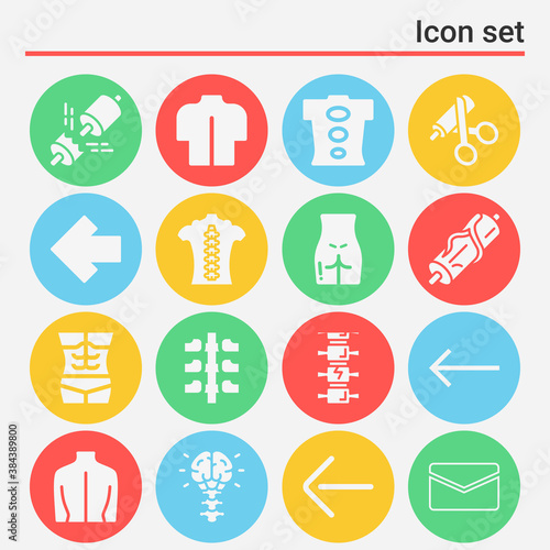 16 pack of vertebral canal  filled web icons set