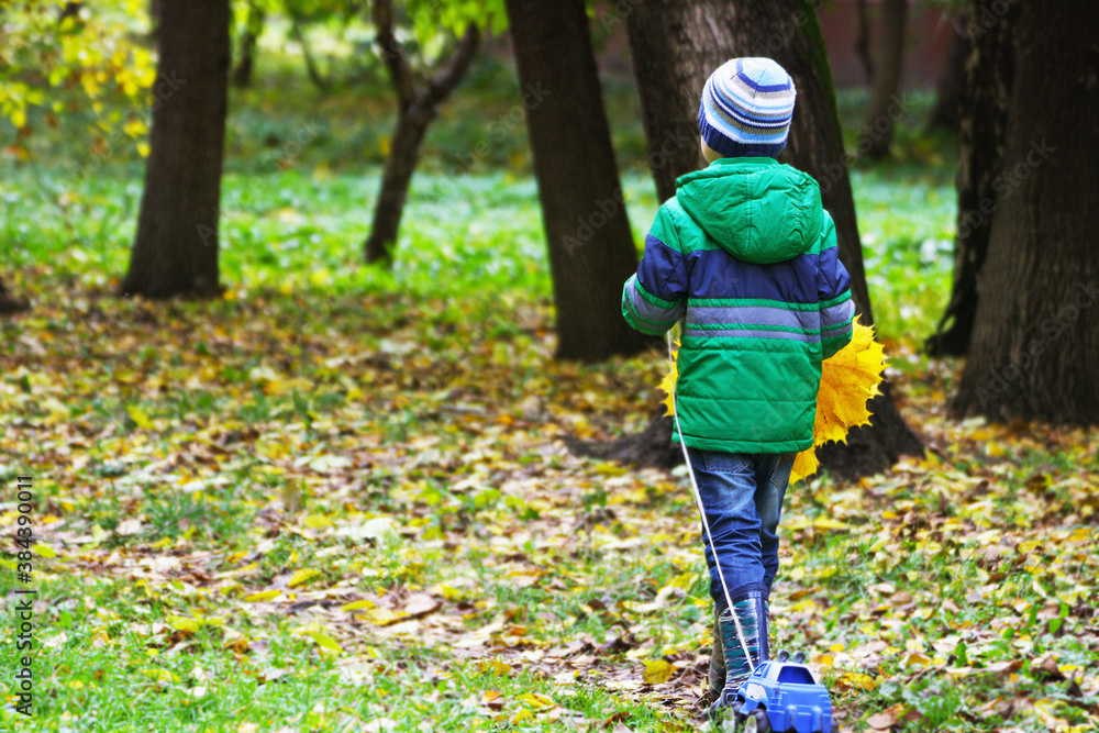 Child on a walk in autumn. Child on a walk in autumn.