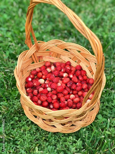 currants in a basket Strawberry