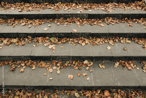 close-up of steps in yellow crumbling leaves. fall