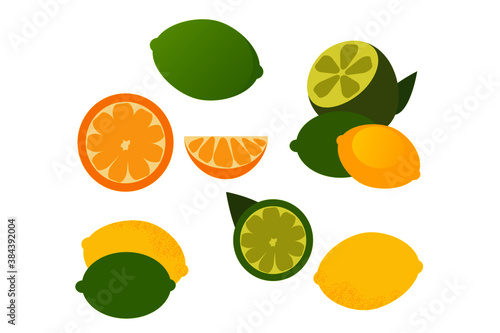 set of citrus fruits