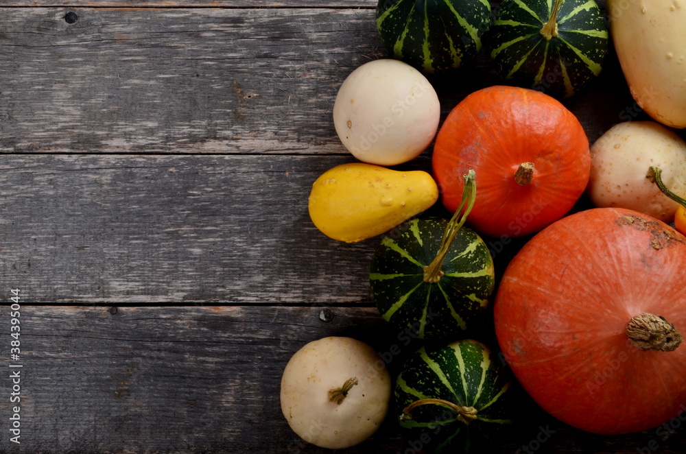 A group of colored pumpkins on a wooden background. Illustration of autumn harvest A group of colored pumpkins on a wooden background. Illustration of autumn harvest