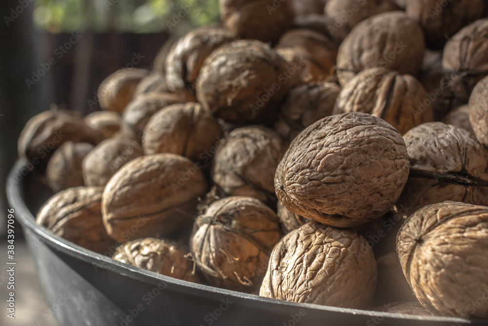 Walnut in shell. Autumn seasonal products. Products for the reproductive health of men. Nutshell texture. Folic acid source. Walnut oil. Healthy eating. Strengthening the immune system. Walnut in shell. Autumn seasonal products. Products for the reproductive health of men. Nutshell texture. Folic acid source. Walnut oil. Healthy eating. Strengthening the immune system.