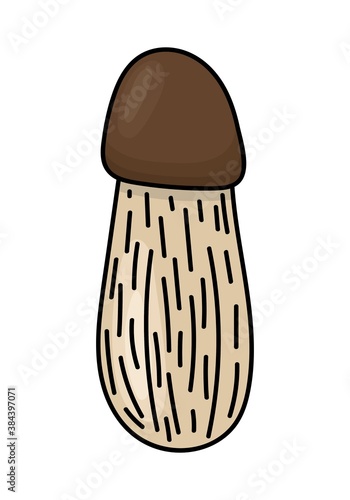 ISOLATED MUSHROOM ON A WHITE BACKGROUND