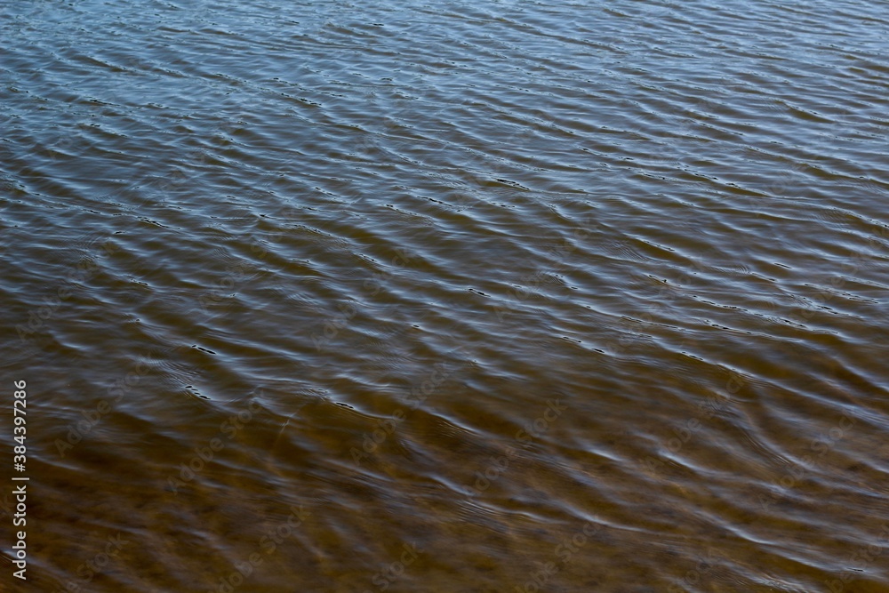 The ripples in the water surface. The ripples in the water surface.